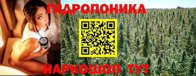 амф Кандалакша