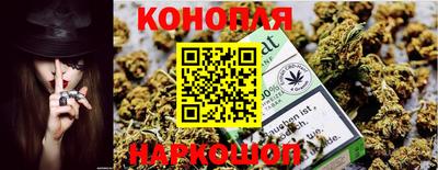 амф Кандалакша