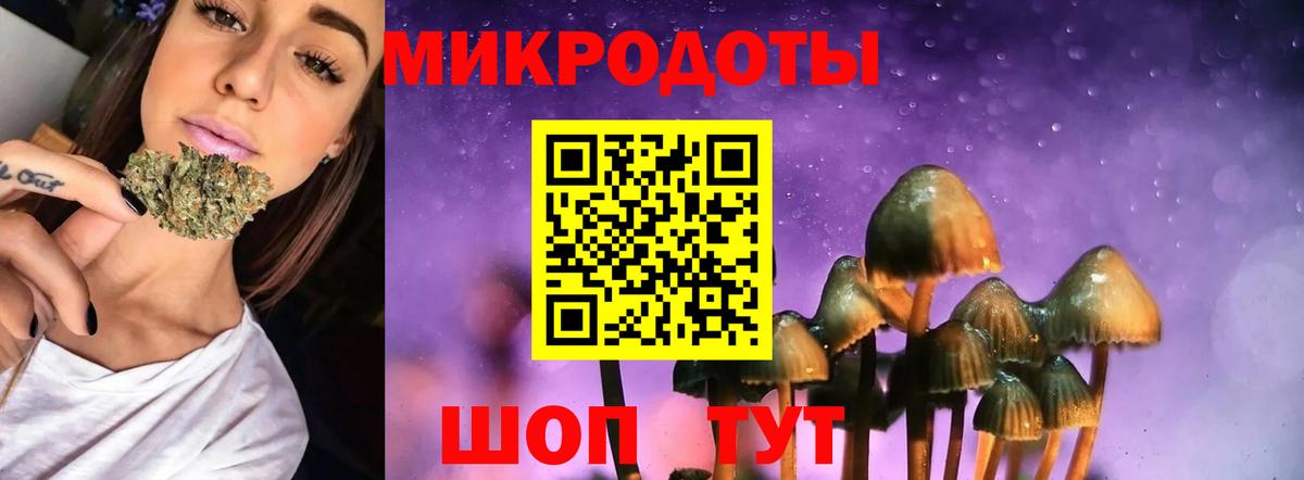 Черногорск  Галлюциногенные грибы ЛСД  наркотики  Вход с VPN  Псилоцибиновые грибы прущие грибы 